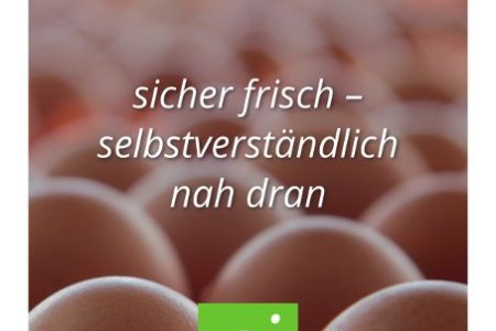 Abbildung: mein-Ei.NRW Broschüre